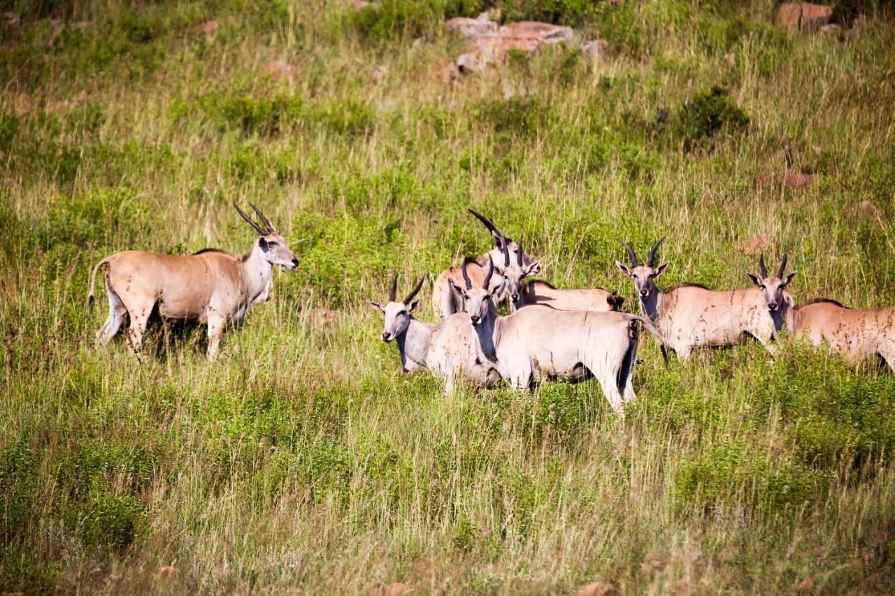 Komati Gorge Lodge, R 36 Halfway Between Carolina And Machadodorp Luaran gambar